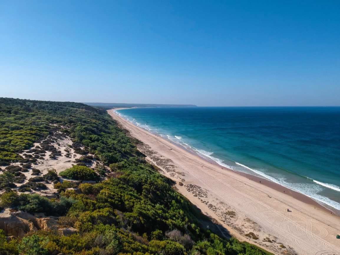 Drone footage from a beautiful beach on a summer day