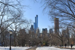 Central Park during the winter facing New York City skyscrapers