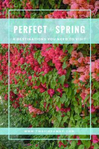 Eight destinations you absolutely can't miss during the Spring. From blooming flowers to idyllic weather, and the best festivals - here's where you need to go! Spring Travel I Spring Destinations I Travel in Spring I Destination Inspiration #springtravel #travelblog