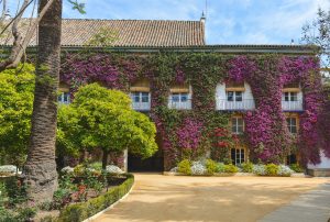 Flowers are one of the main Seville attractions specially in the Spring