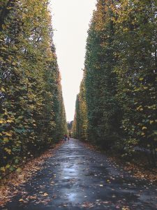 Autumn in full bloom at the Oliwa Park in Gdansk