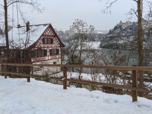 Winter fairytale in the Switzerland Rhein Fall
