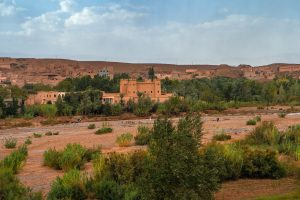 An out-of-season Valley of the Roses in Morocco