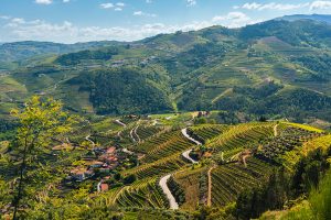 The N222 was named one of the world's best roads