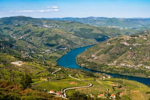 The Douro Valley is filled with stunning views - it's hard not to stop at every turn to enjoy the views