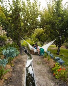 Our stay at Casa Levada in the Douro Valley was incredibly memorable